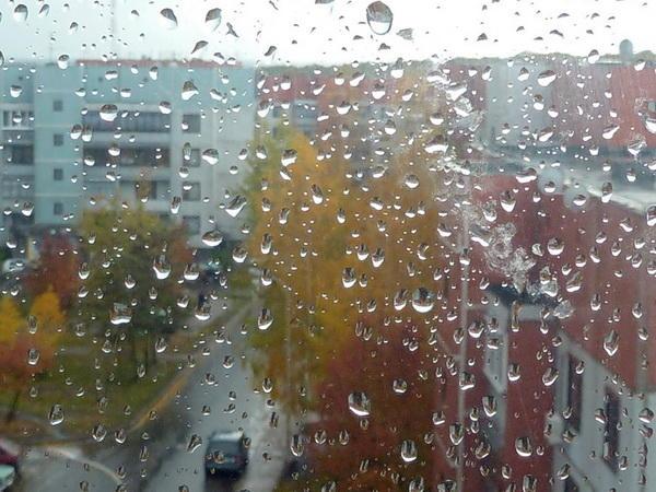 Не буди меня ты, осень, спозаранку...