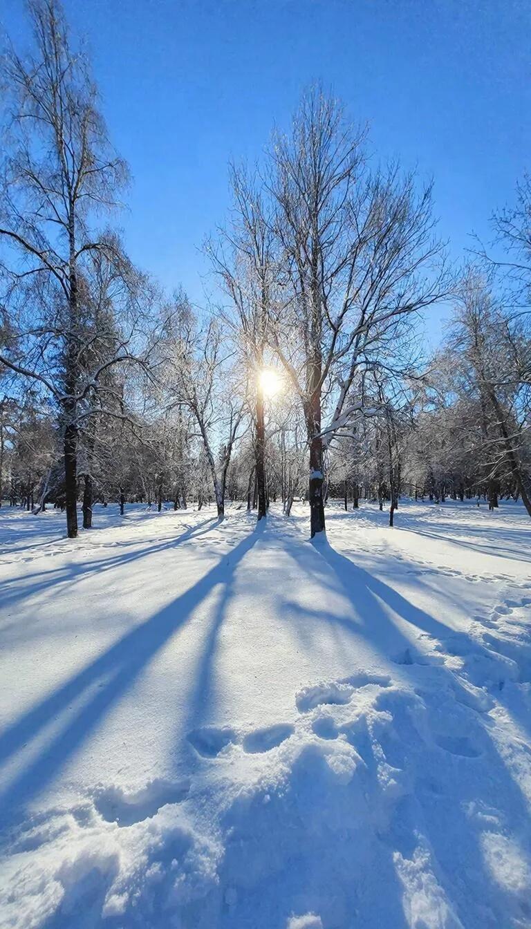 ­Февральский день