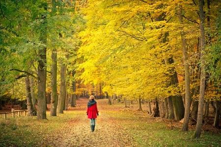 ЛИСТВУ СТЕЛИЛА ОСЕНЬ...