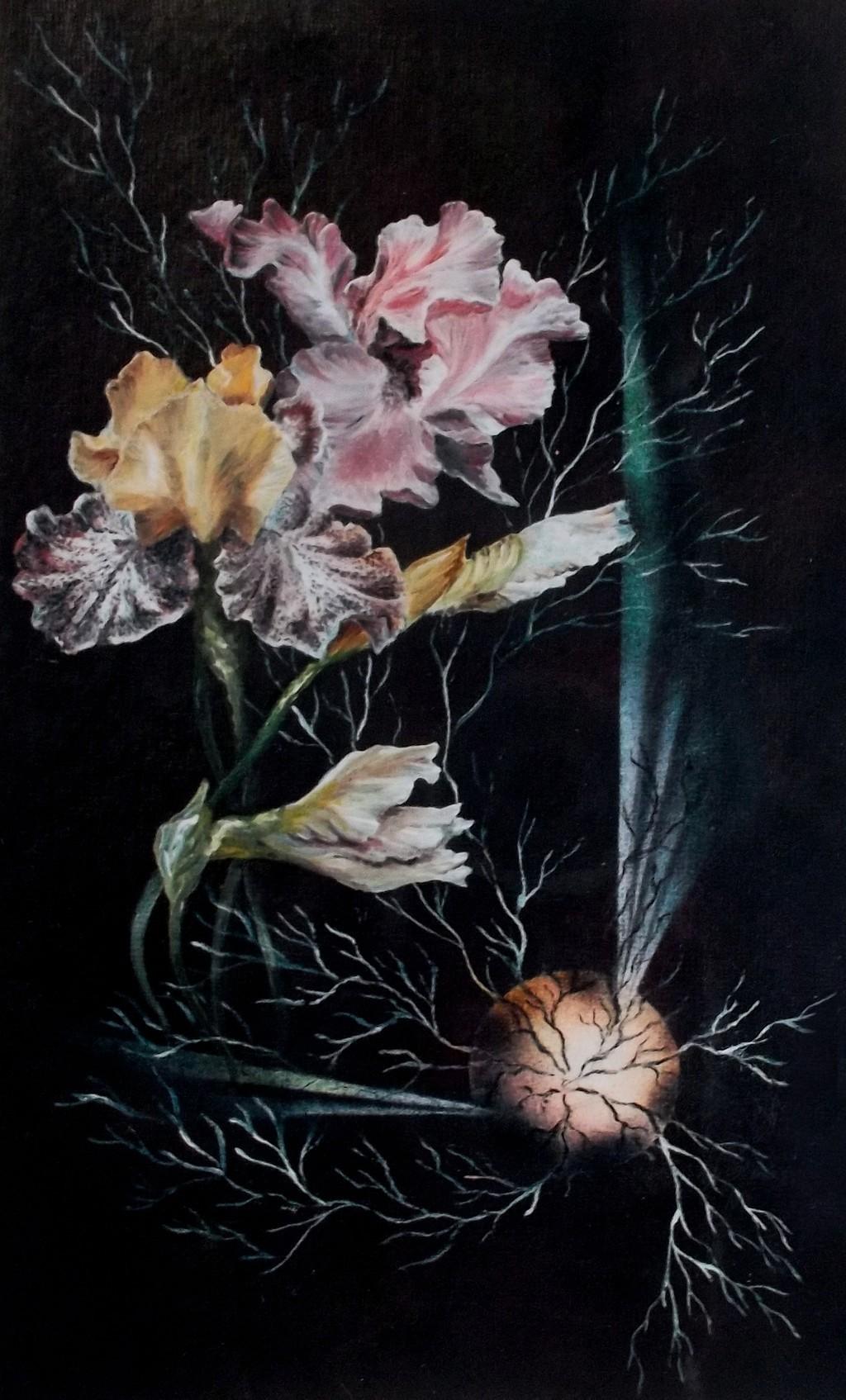 Из мечты и суеты