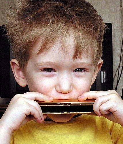 Губная гармошка