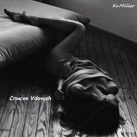 Список Vdovush