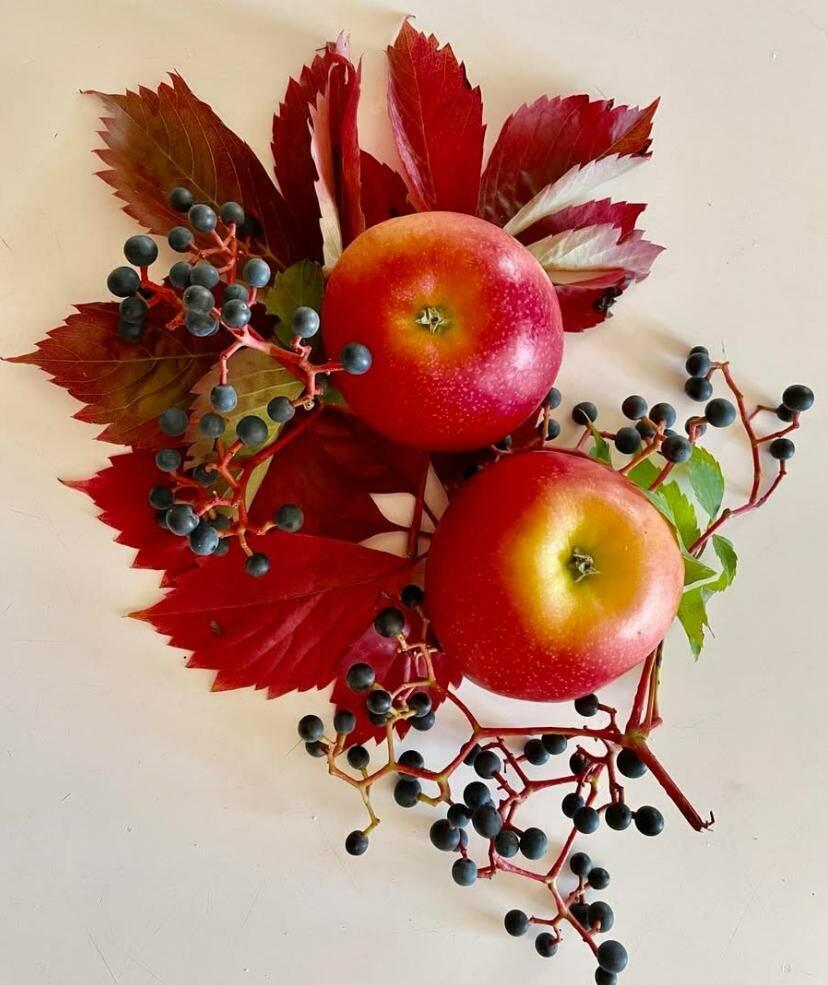 Тихое время 