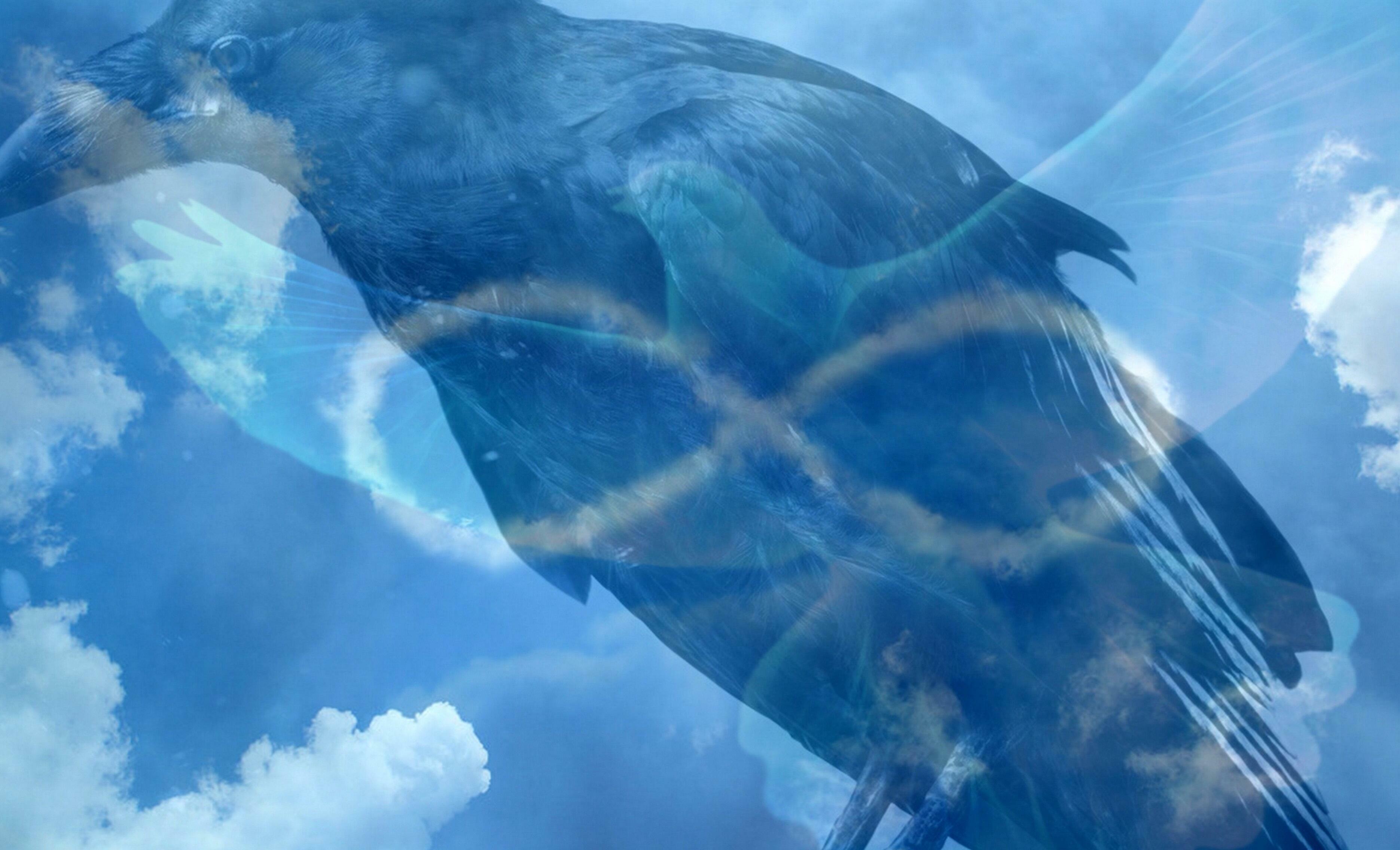 " Сквозняк " Автор Ольга Ерофеева