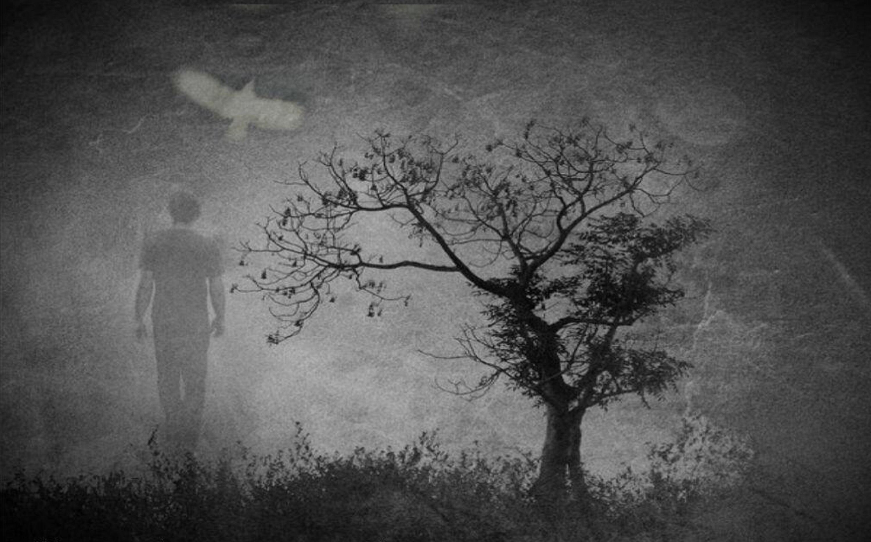 Во снах видение былое...