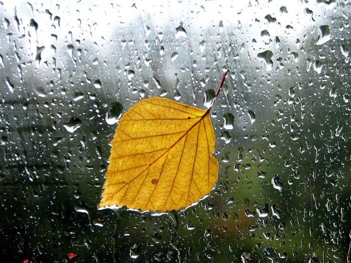 А он был от лета лучист