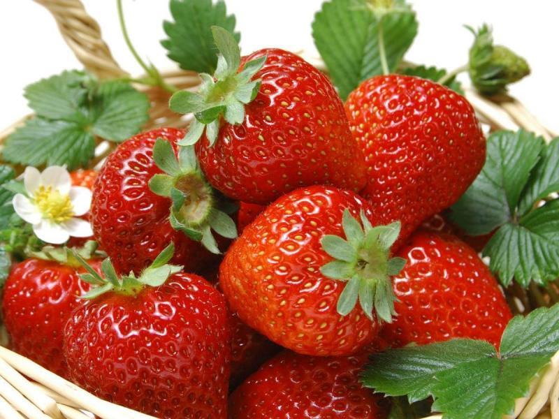 Я классике рада ...классике !