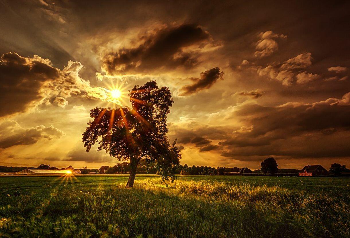 Радость света