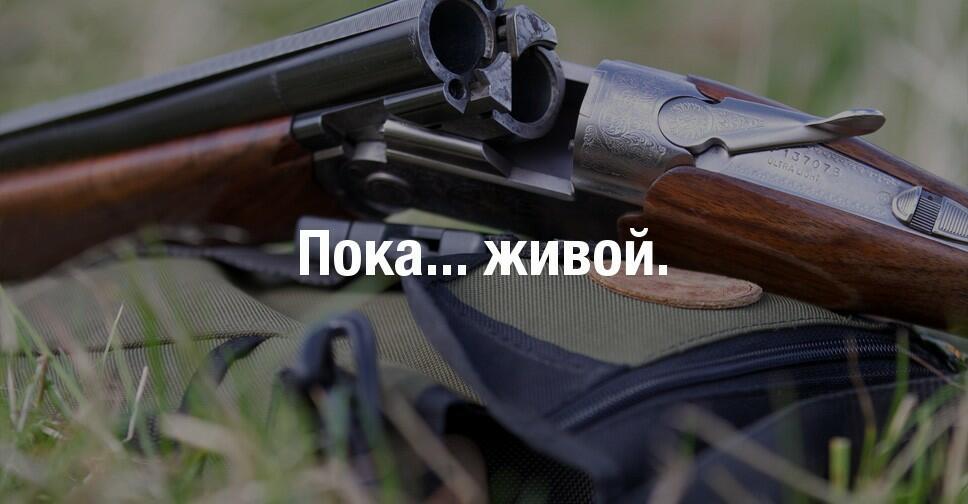 Пока... живой