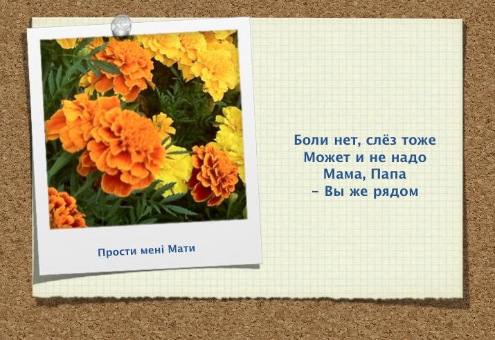 Прости мени Мати