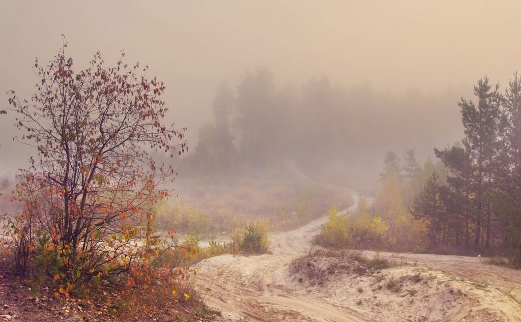 Романсы раньше я не понимал.