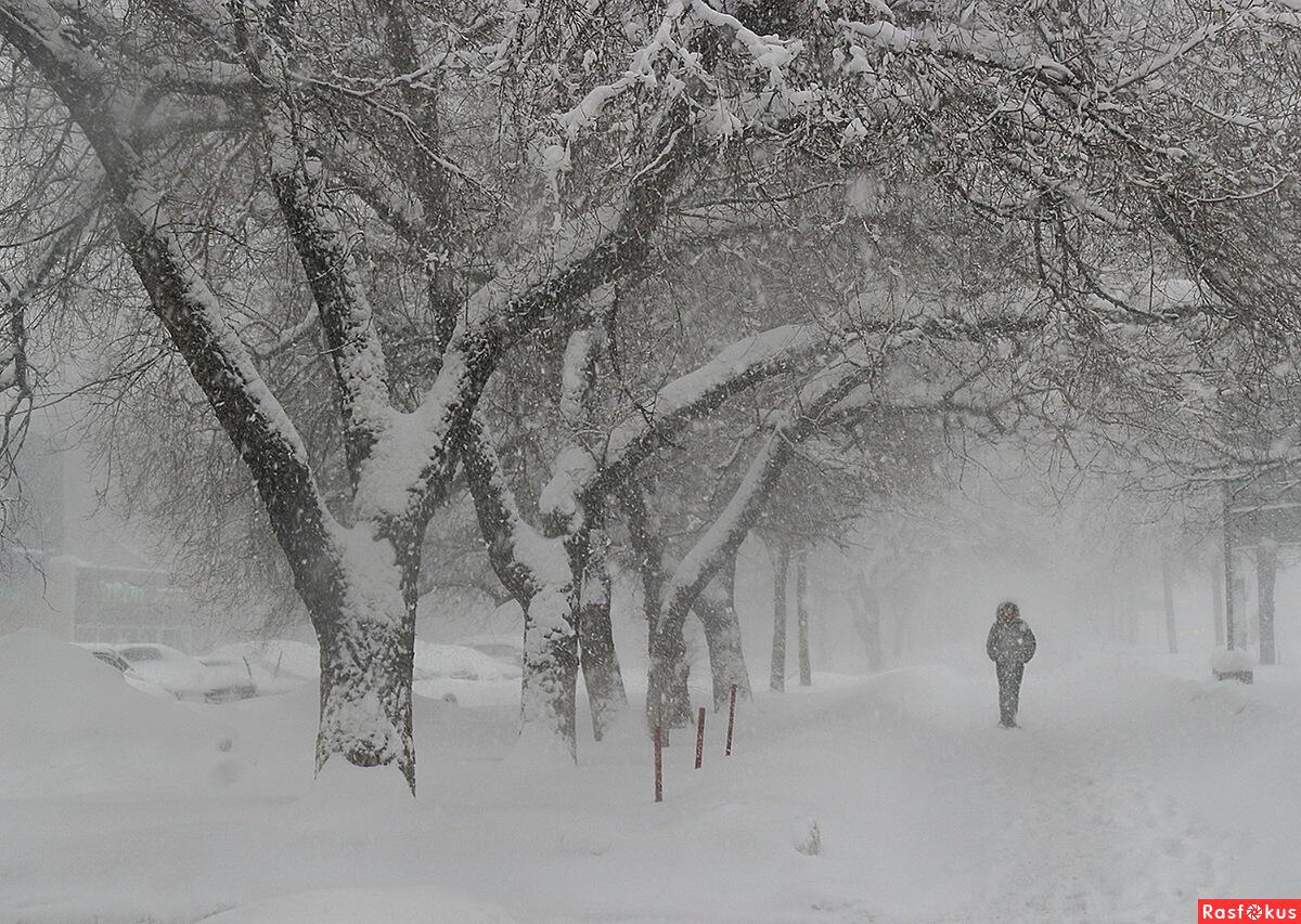 Безмятежность