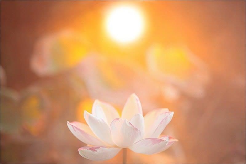 Благодарю Творца, что жизнь не имеет конца