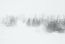 Прошлогодний снег