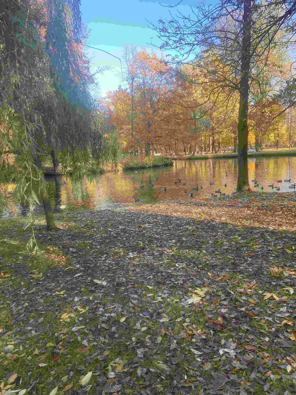 Осенняя усталость 