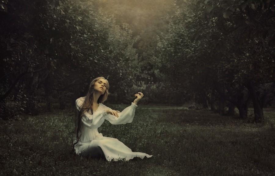 Просьба о прощении