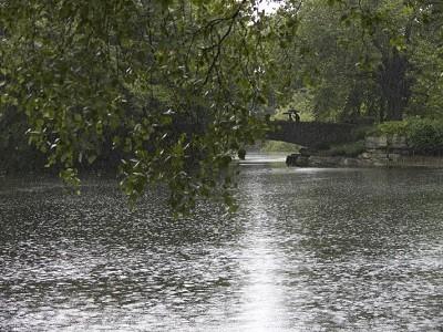Дождливые загадки