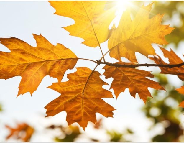 Мне так не хочется домой...