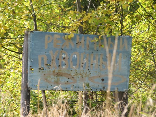 Стоит в тайге одна деревня