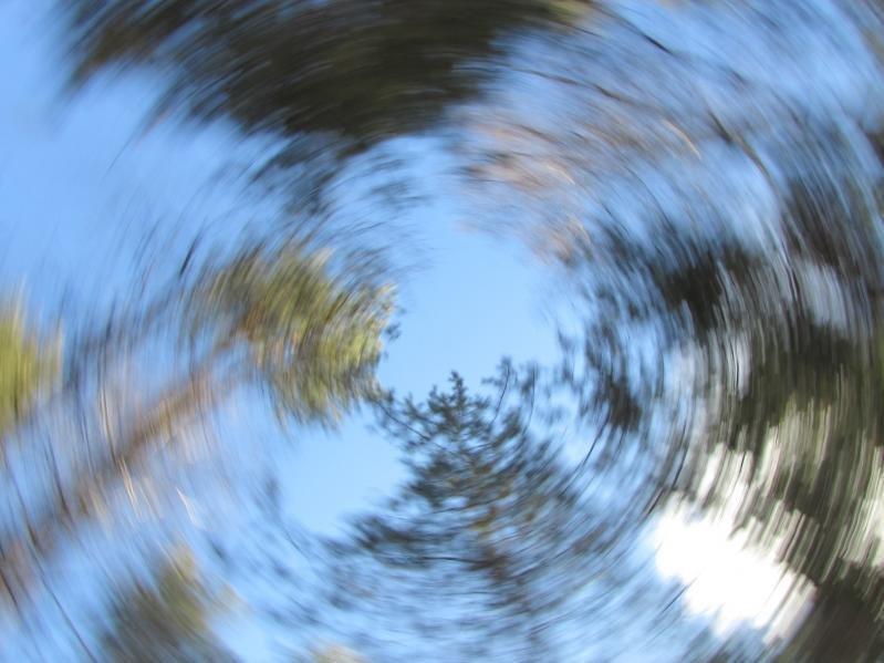 "Прощай,весна печальная" (31.05.2018)