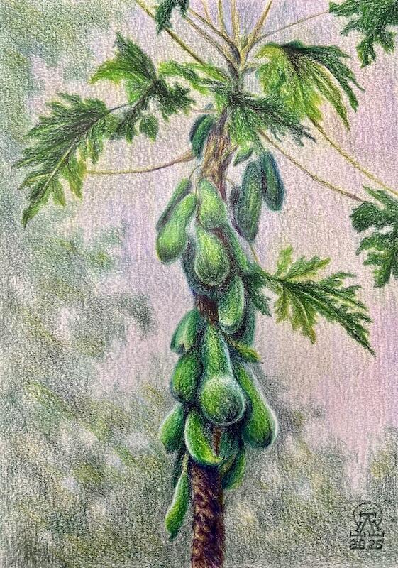 Пустое, немощное чувство...