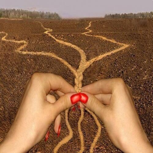 Вяжется судьба