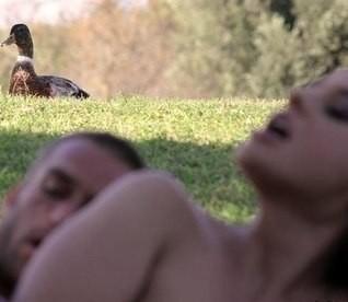 Крякал селезень…