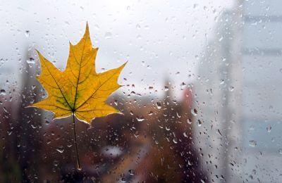 Не отчаивайся