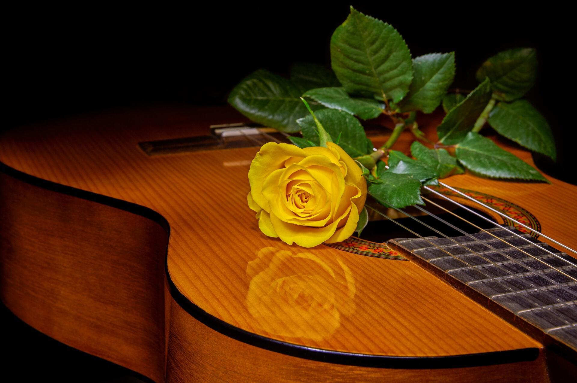 Ты самая красивая на гитаре. Гитара в цветах. Цветы для музыканта. Электрогитара и цветы.