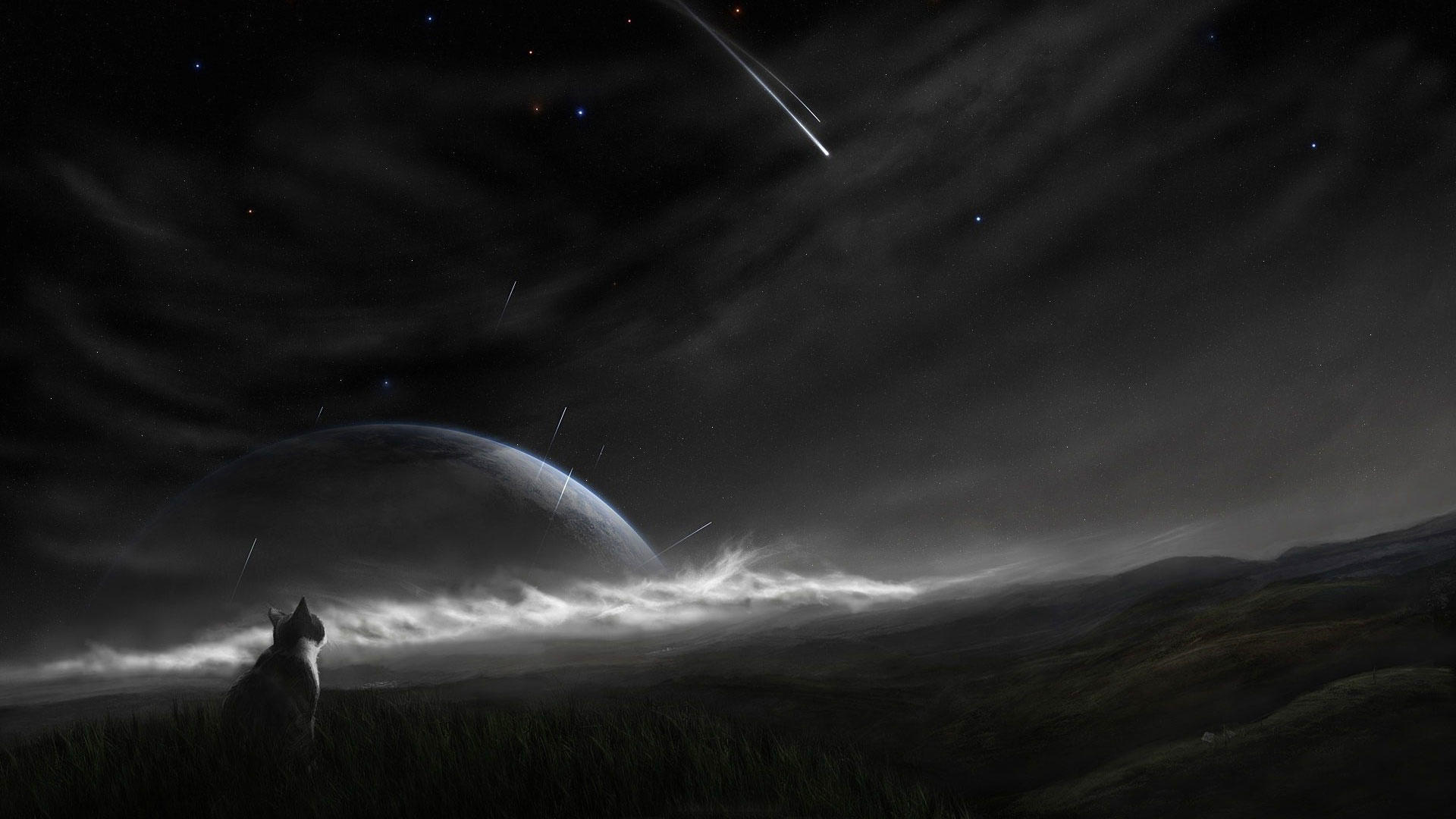 О кометах мечтал мой кот