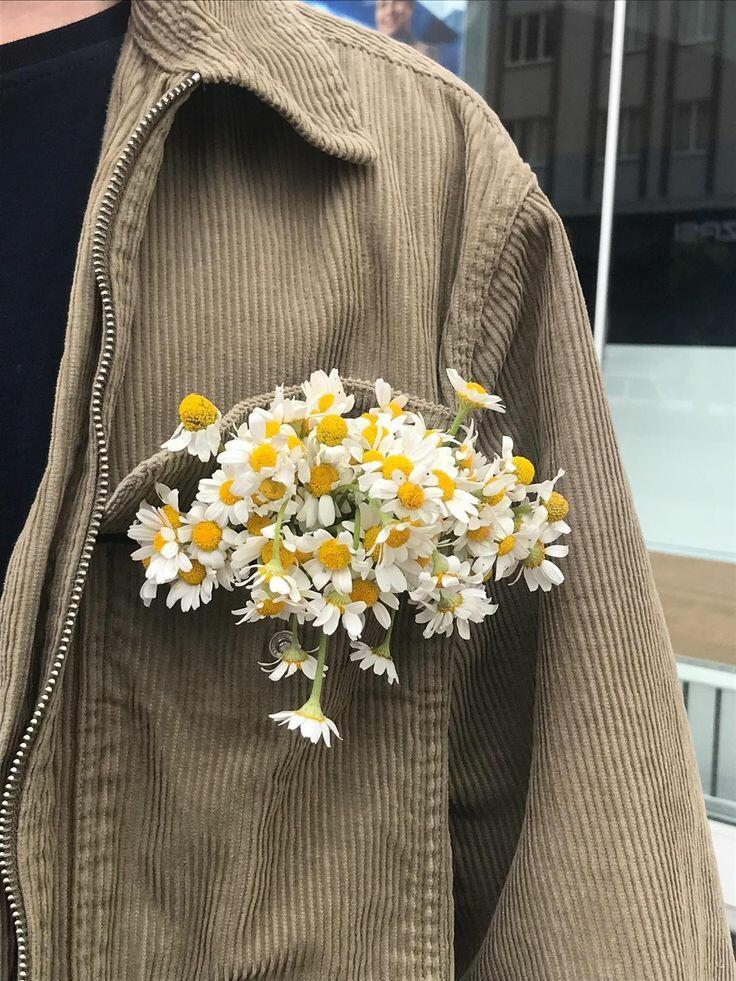 А я люблю ромашки