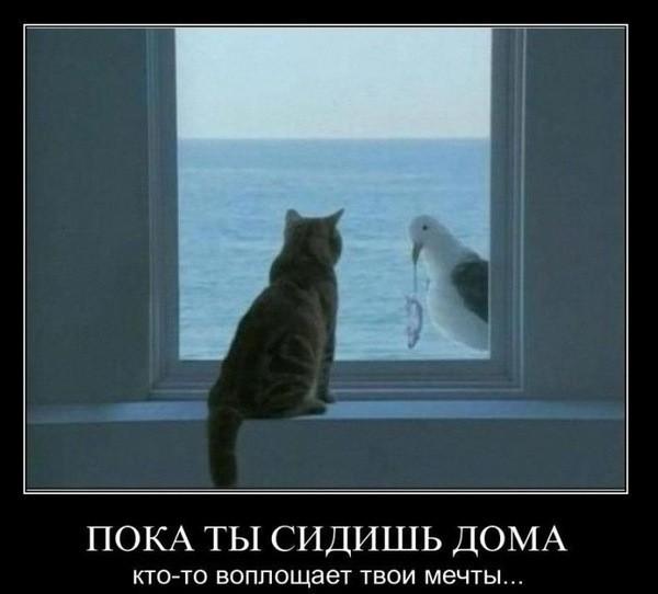 Отношение к нашим мечтам