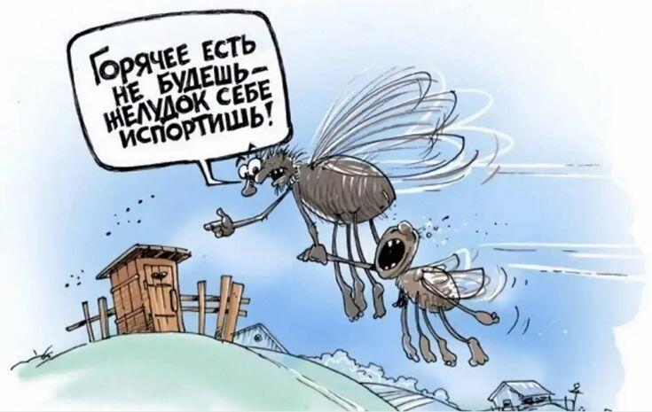 Мухи вязнут в киселе...