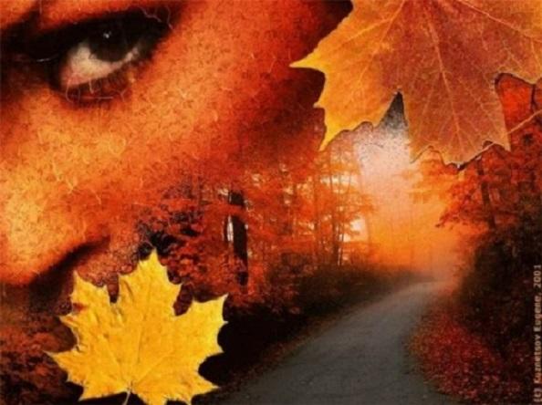 "Живое чувство" (30.09.2015)