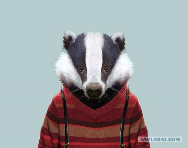 Купил Барсук себе сюртук...