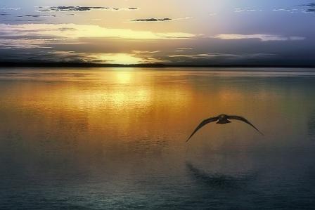 На рассвете...