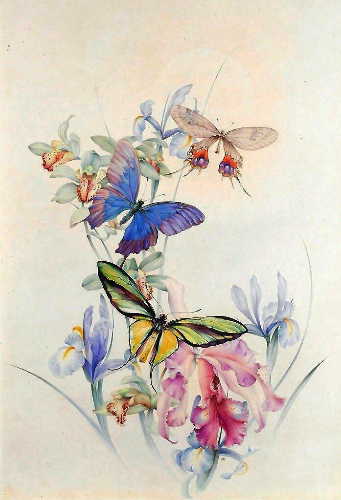 ...а потом сотворим...