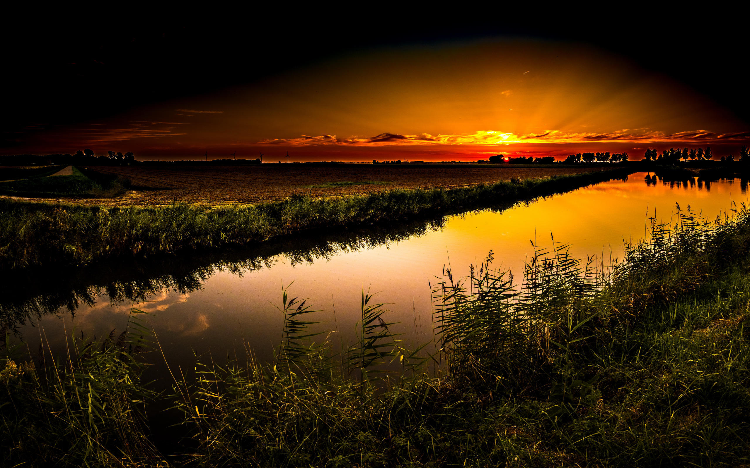 "Мысли невменяемого"