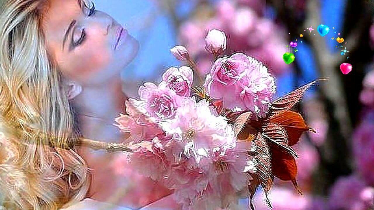 В твоей душе цветёт весна".
