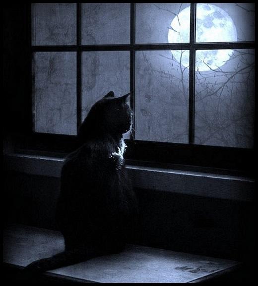 "Мир одиночества и грёз" (29.04.2015)