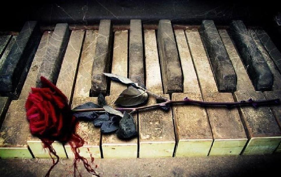 Забудь меня