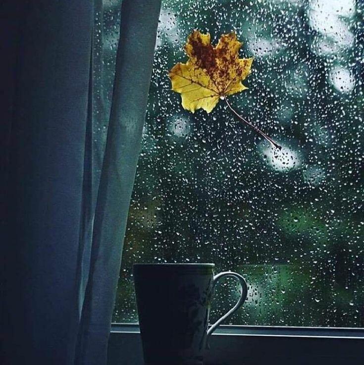 Слабый дождь