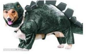 ПАРК ЮРСКОГО ПЕРИОДА