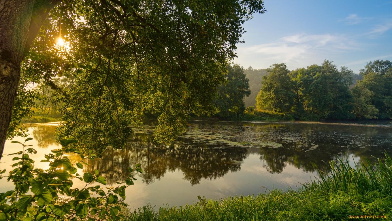 Начало июня. Вечер