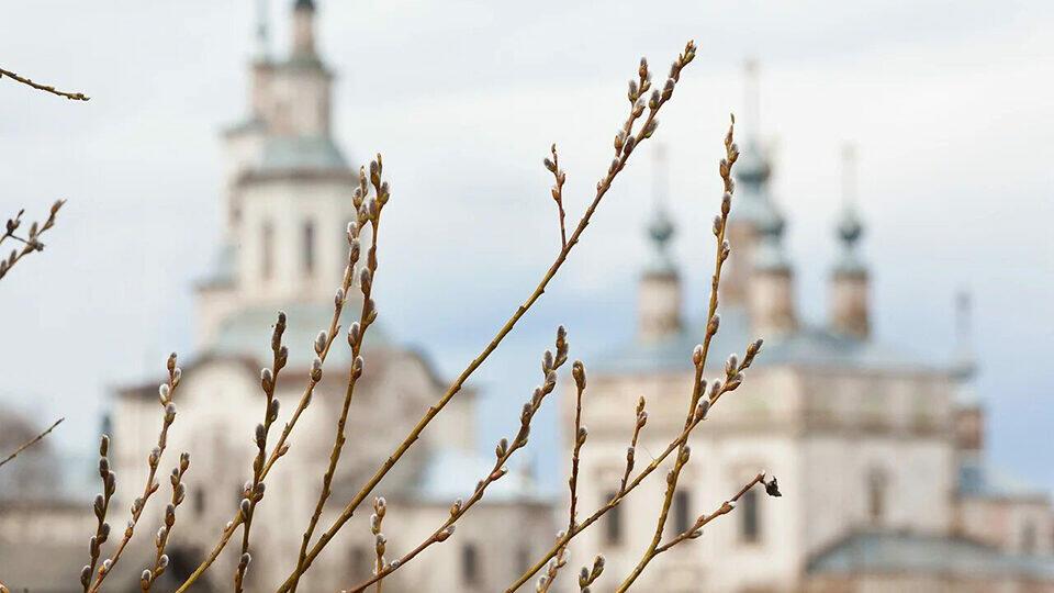 Вербная неделя в 2022 году