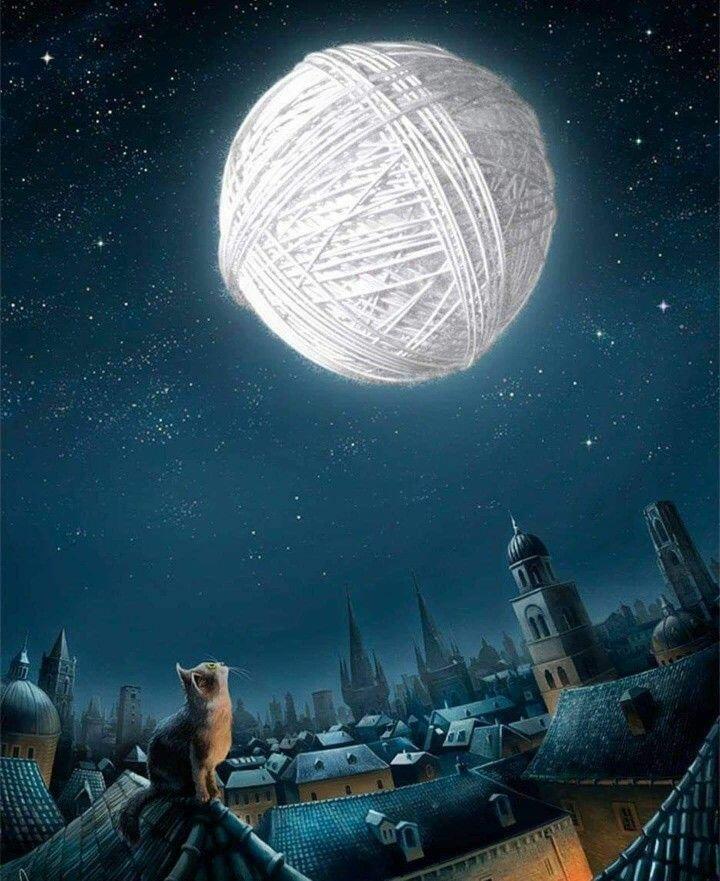 Зорі бри́жили небо