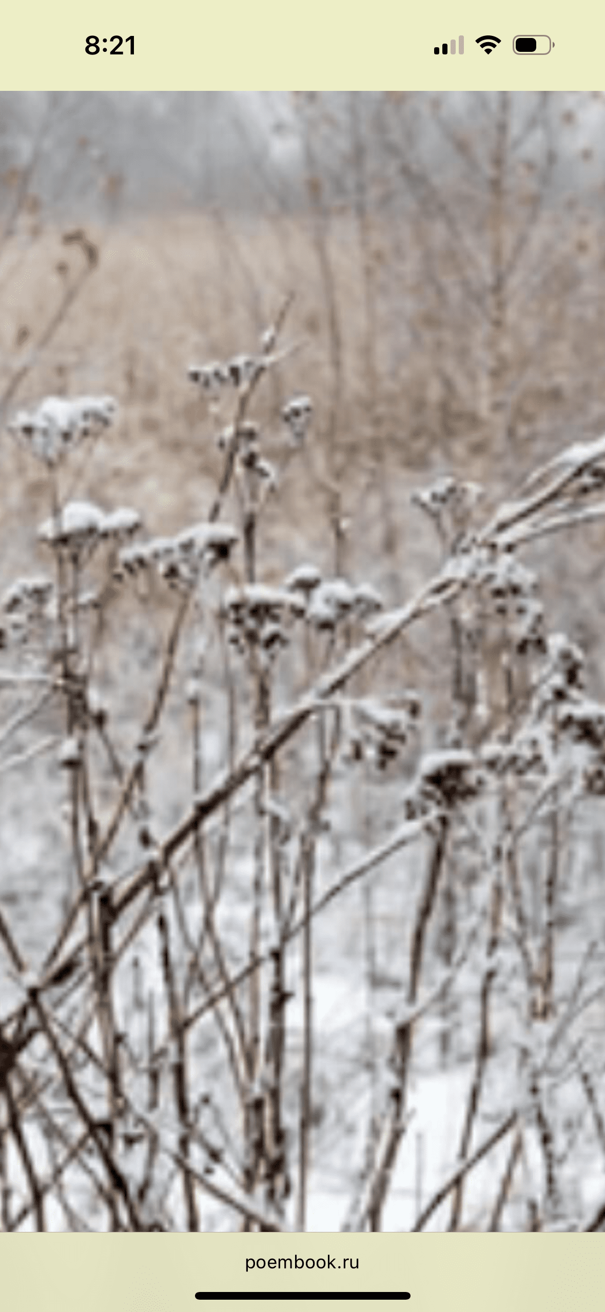 Первый снег