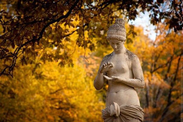 Всё тот же Летний сад...