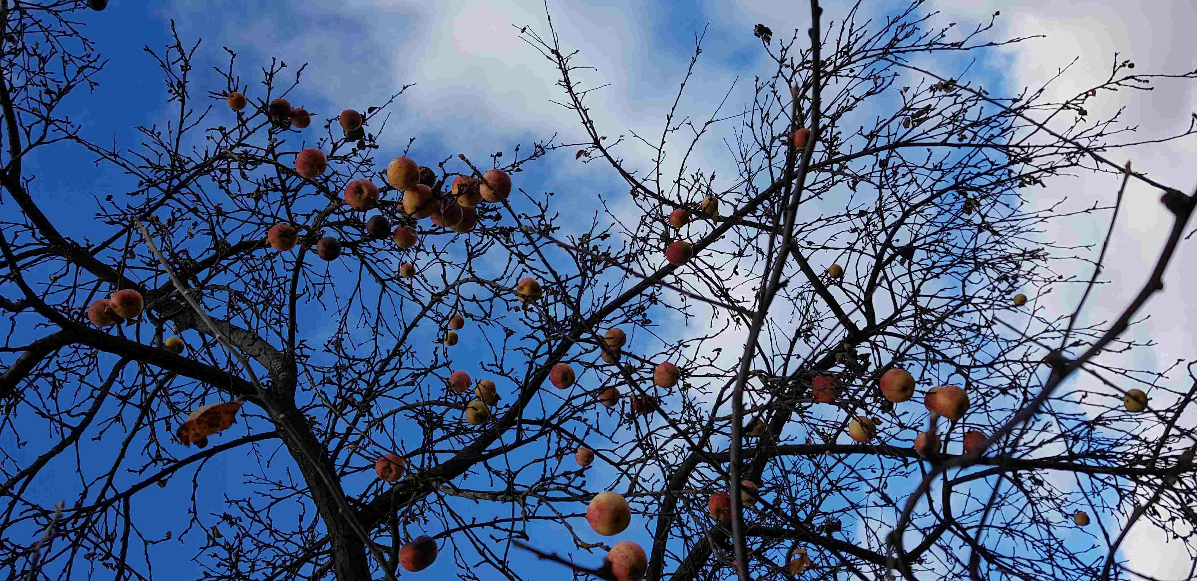 Еще раз про... 121 Про сущность