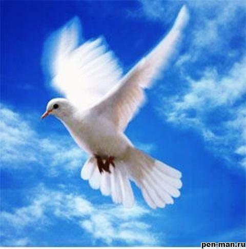 Птица небесная